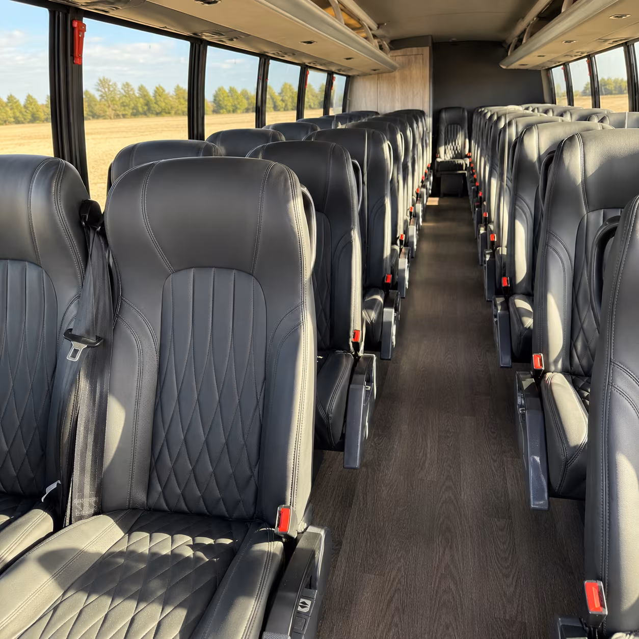 san rafael concert transportation